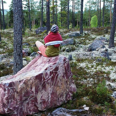 16 - Fulufjellets Nasjonalparker - Natur-, Dyre- Og Fugleopplevelser Ljørdal Buitenkant foto