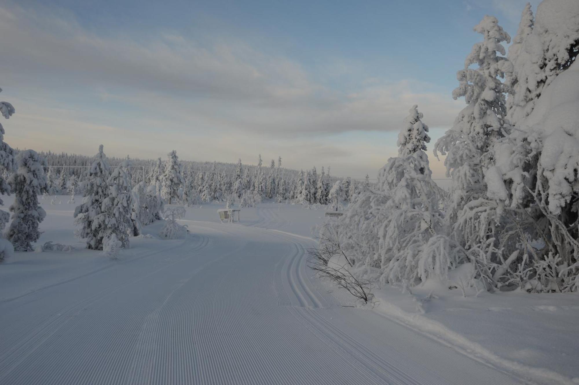 16 - Fulufjellets Nasjonalparker - Natur-, Dyre- Og Fugleopplevelser Ljørdal Buitenkant foto
