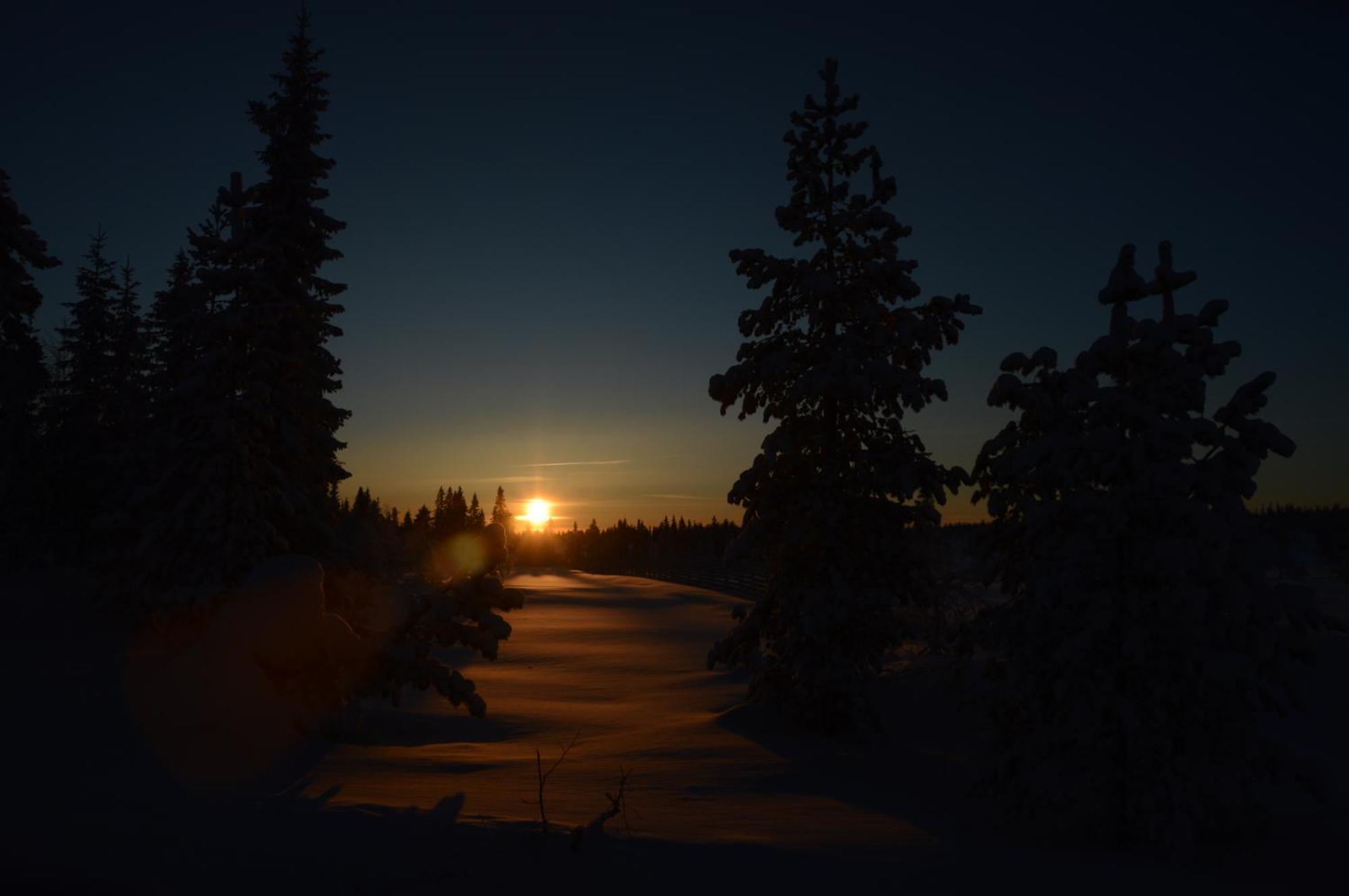 16 - Fulufjellets Nasjonalparker - Natur-, Dyre- Og Fugleopplevelser Ljørdal Buitenkant foto