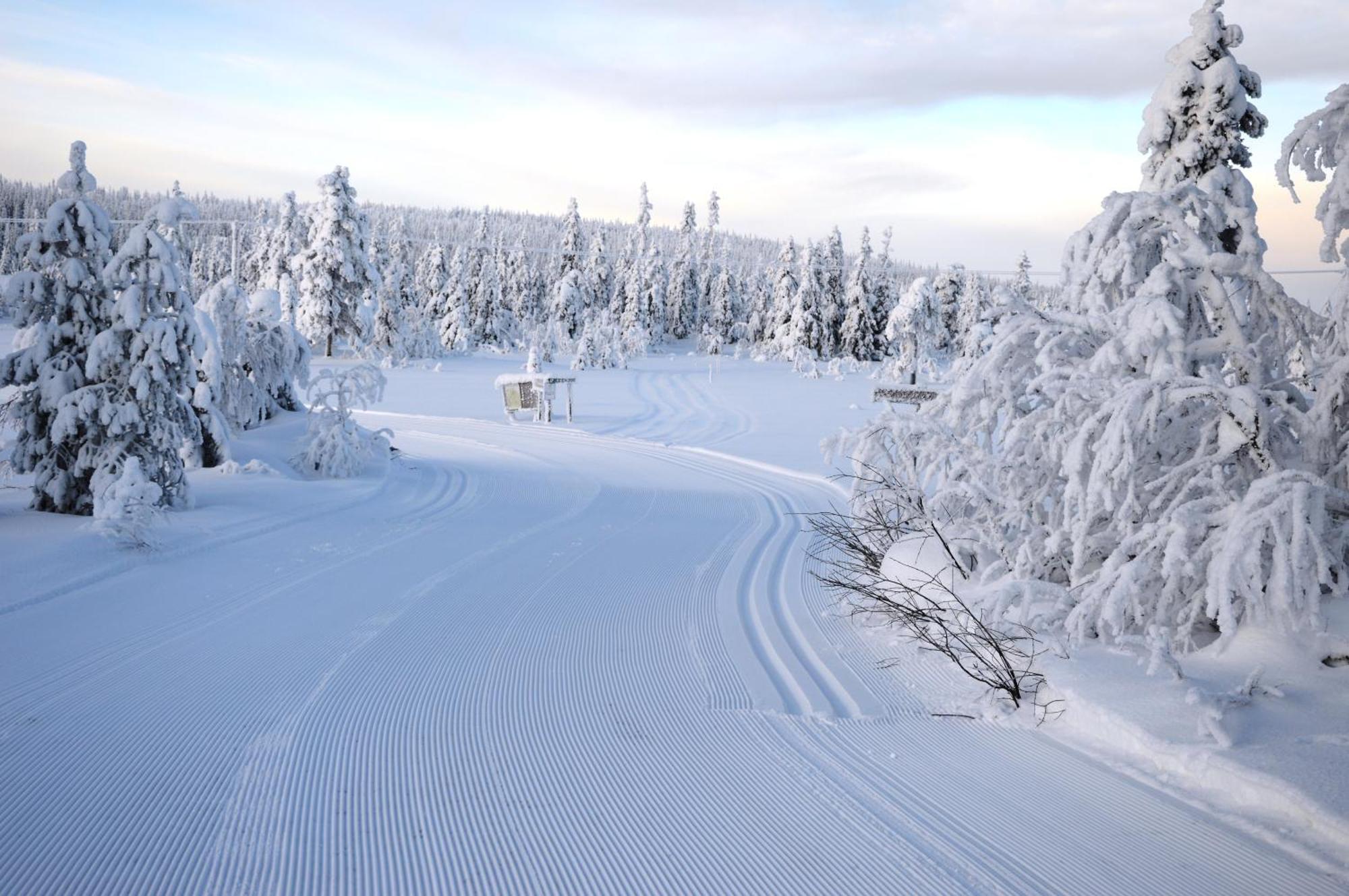 16 - Fulufjellets Nasjonalparker - Natur-, Dyre- Og Fugleopplevelser Ljørdal Buitenkant foto