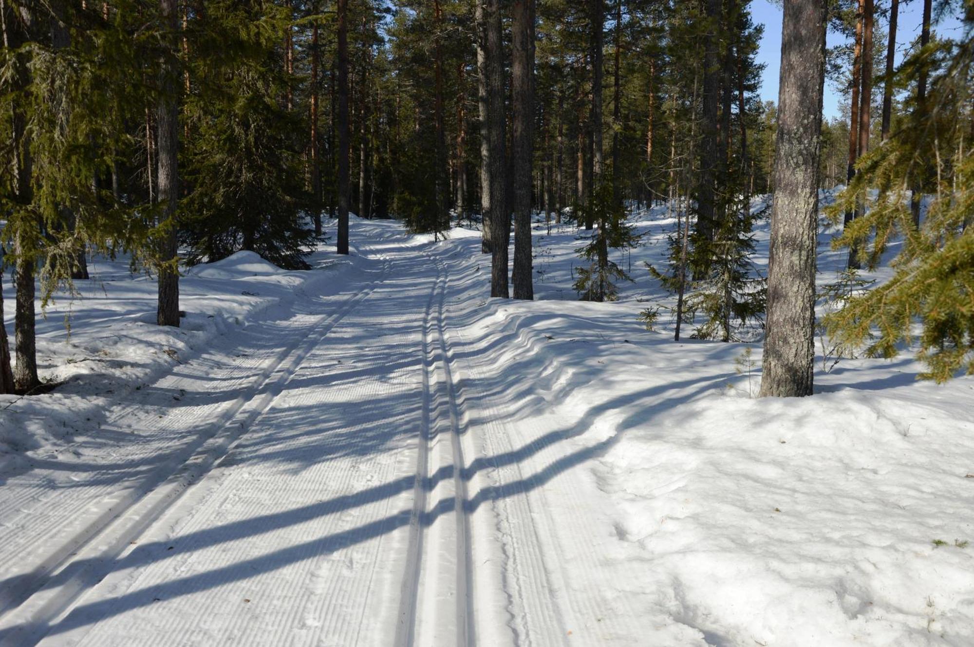 16 - Fulufjellets Nasjonalparker - Natur-, Dyre- Og Fugleopplevelser Ljørdal Buitenkant foto