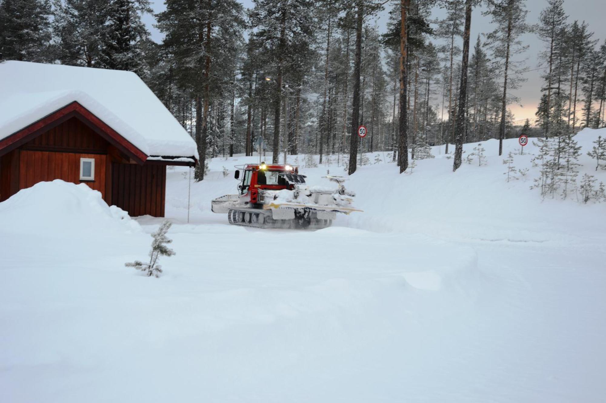 16 - Fulufjellets Nasjonalparker - Natur-, Dyre- Og Fugleopplevelser Ljørdal Buitenkant foto