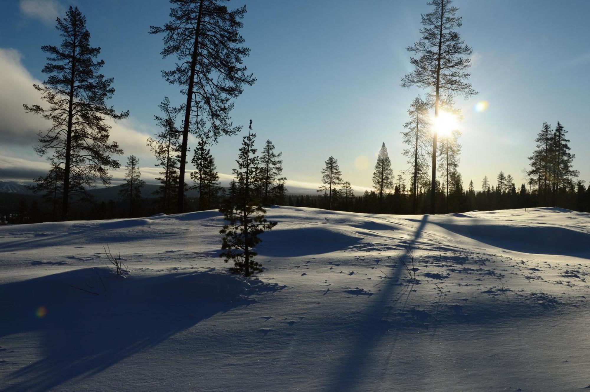 16 - Fulufjellets Nasjonalparker - Natur-, Dyre- Og Fugleopplevelser Ljørdal Buitenkant foto