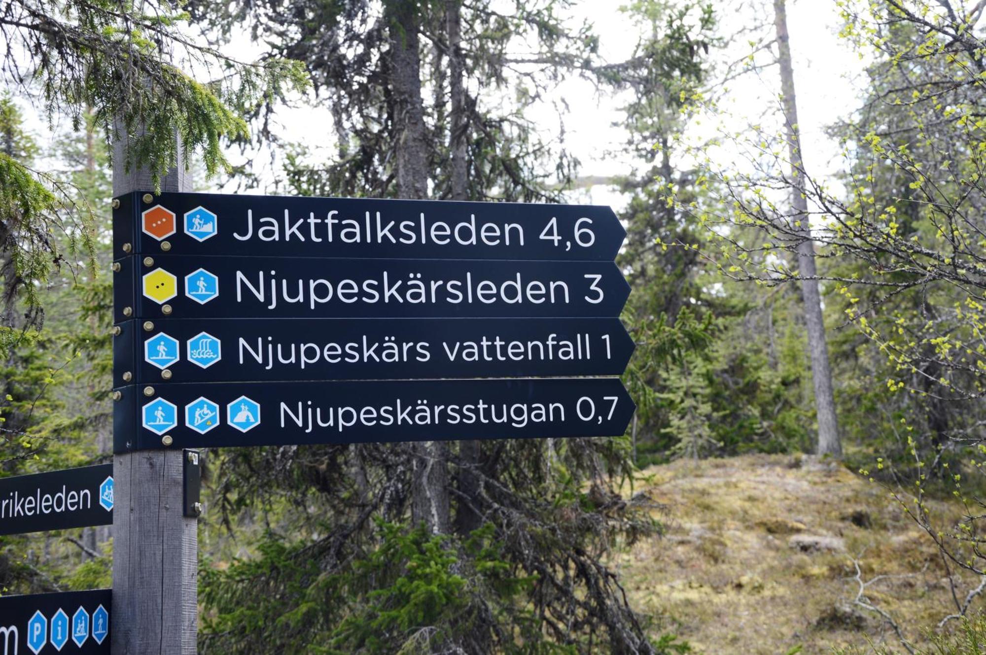 16 - Fulufjellets Nasjonalparker - Natur-, Dyre- Og Fugleopplevelser Ljørdal Buitenkant foto