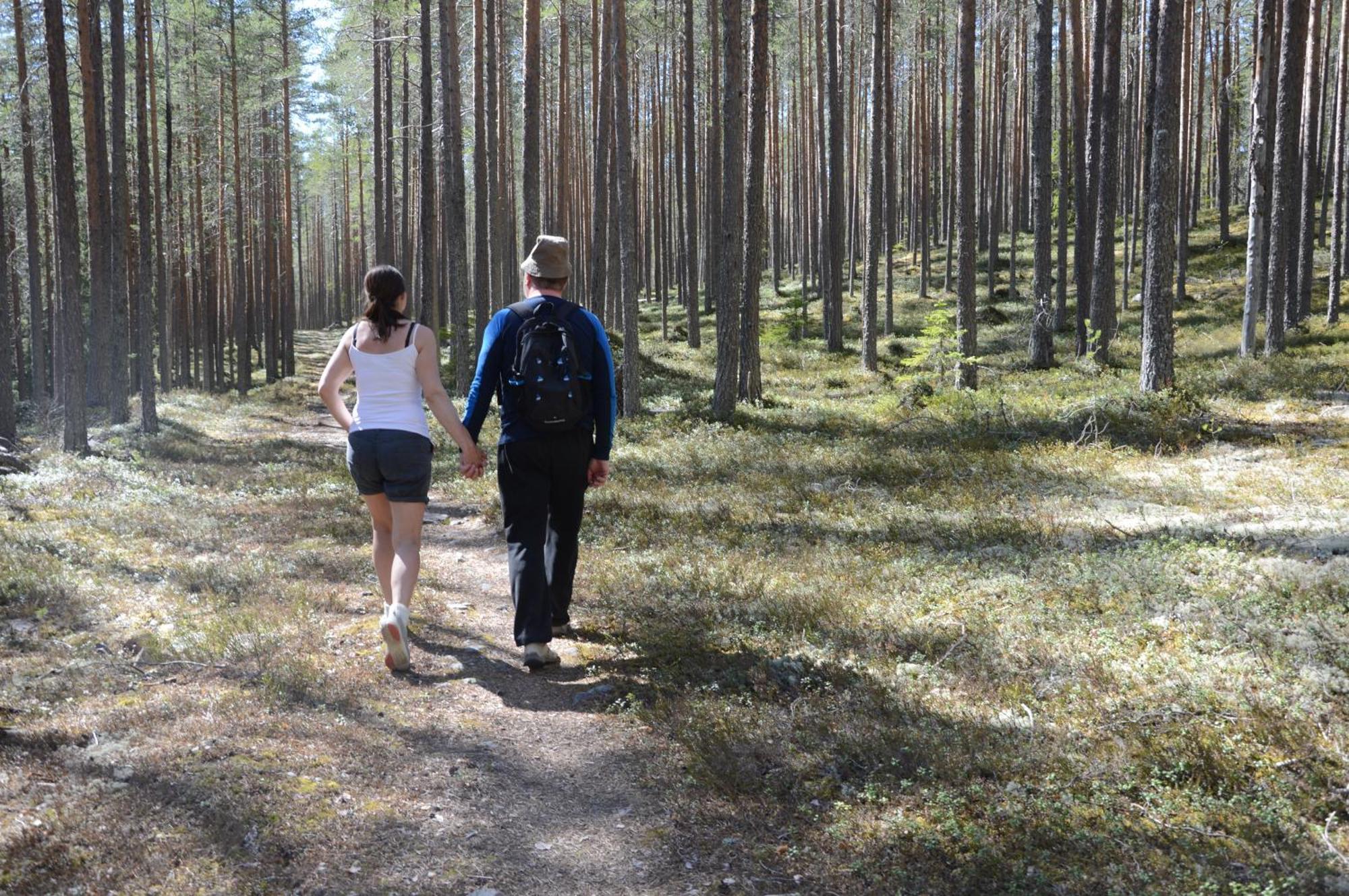 16 - Fulufjellets Nasjonalparker - Natur-, Dyre- Og Fugleopplevelser Ljørdal Buitenkant foto