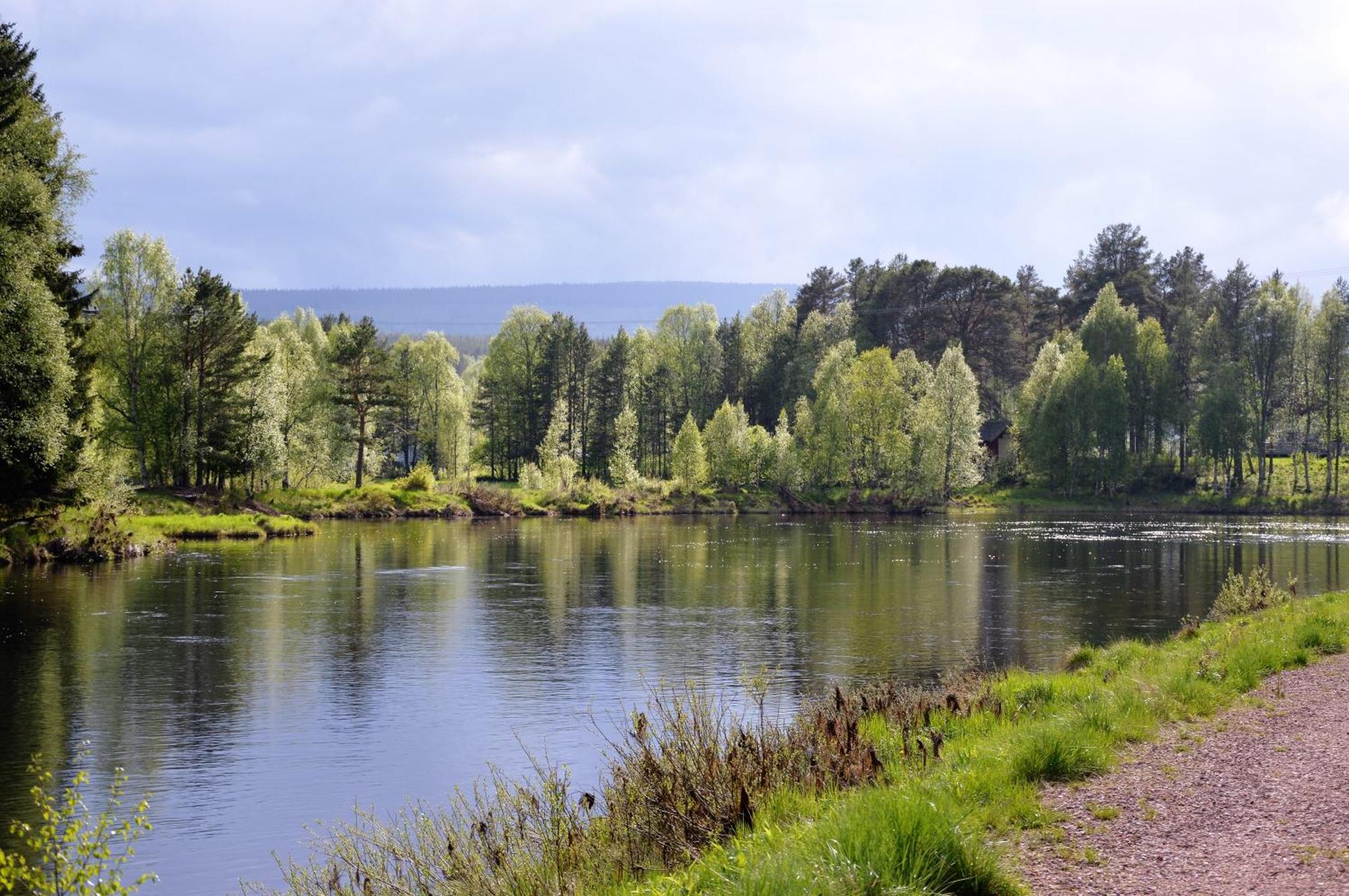 16 - Fulufjellets Nasjonalparker - Natur-, Dyre- Og Fugleopplevelser Ljørdal Buitenkant foto