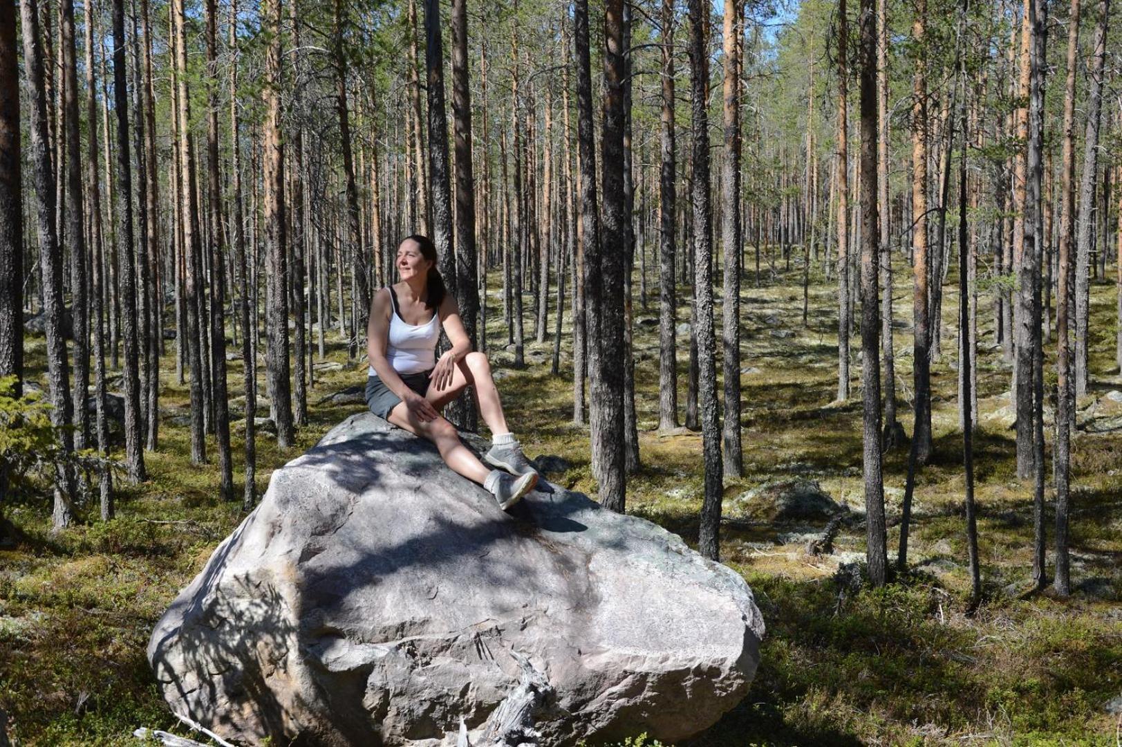 16 - Fulufjellets Nasjonalparker - Natur-, Dyre- Og Fugleopplevelser Ljørdal Buitenkant foto