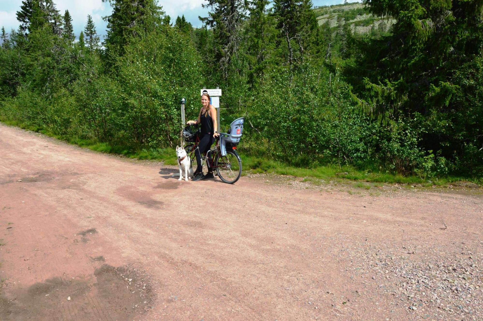 16 - Fulufjellets Nasjonalparker - Natur-, Dyre- Og Fugleopplevelser Ljørdal Buitenkant foto
