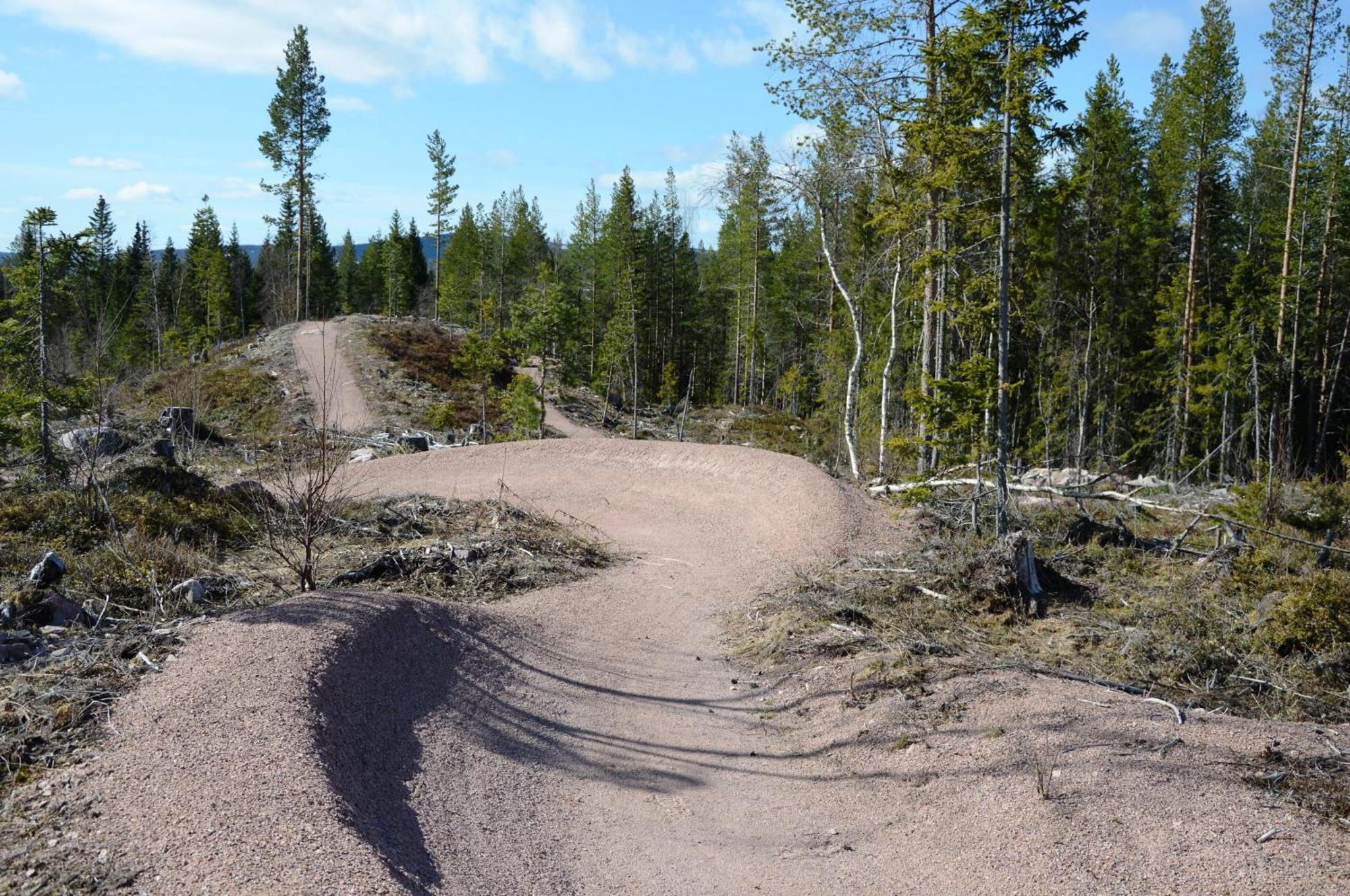 16 - Fulufjellets Nasjonalparker - Natur-, Dyre- Og Fugleopplevelser Ljørdal Buitenkant foto
