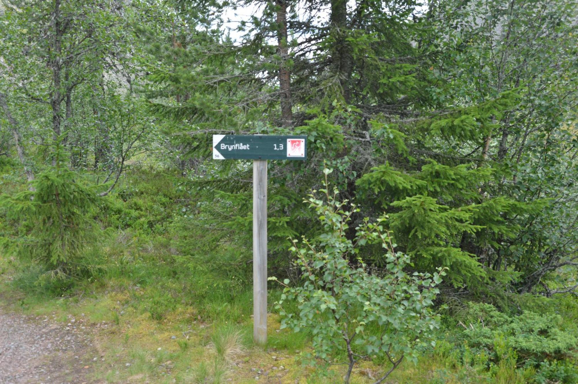 16 - Fulufjellets Nasjonalparker - Natur-, Dyre- Og Fugleopplevelser Ljørdal Buitenkant foto