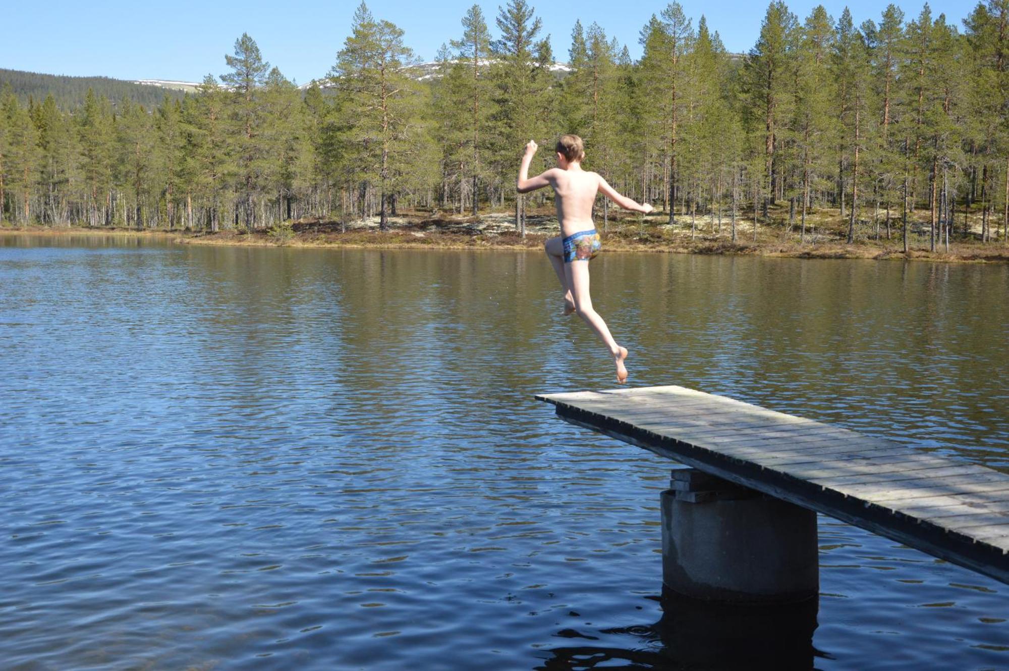 16 - Fulufjellets Nasjonalparker - Natur-, Dyre- Og Fugleopplevelser Ljørdal Buitenkant foto
