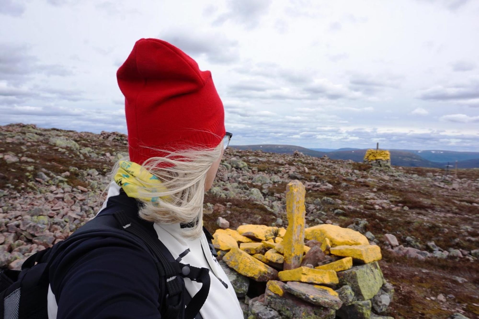 16 - Fulufjellets Nasjonalparker - Natur-, Dyre- Og Fugleopplevelser Ljørdal Buitenkant foto