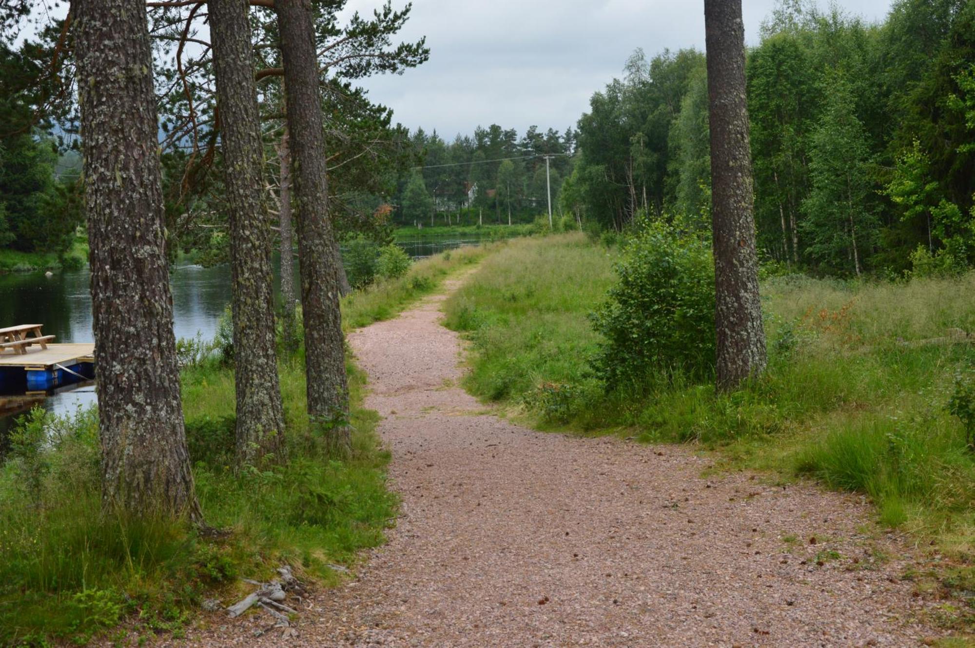 16 - Fulufjellets Nasjonalparker - Natur-, Dyre- Og Fugleopplevelser Ljørdal Buitenkant foto