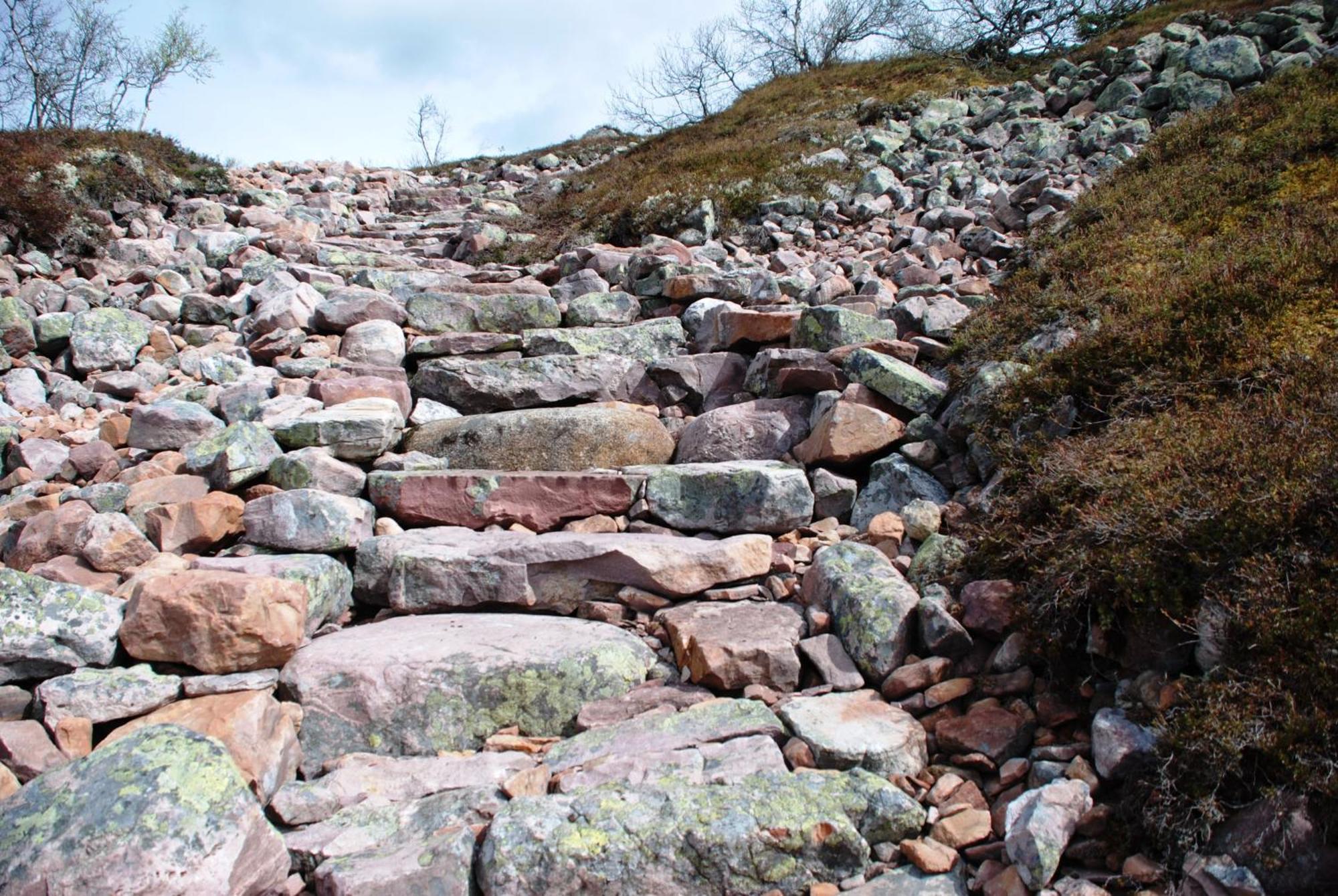 16 - Fulufjellets Nasjonalparker - Natur-, Dyre- Og Fugleopplevelser Ljørdal Buitenkant foto