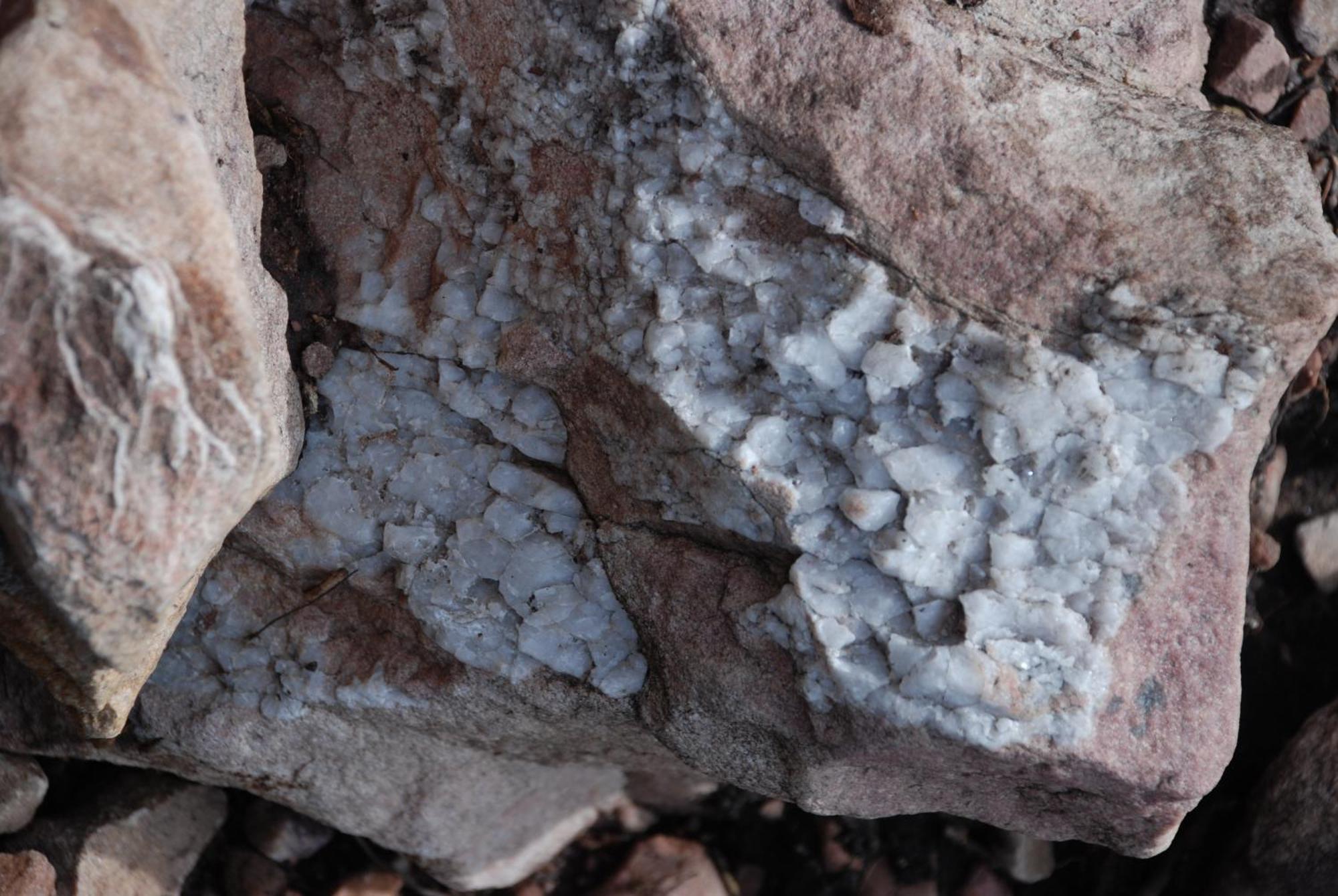 16 - Fulufjellets Nasjonalparker - Natur-, Dyre- Og Fugleopplevelser Ljørdal Buitenkant foto