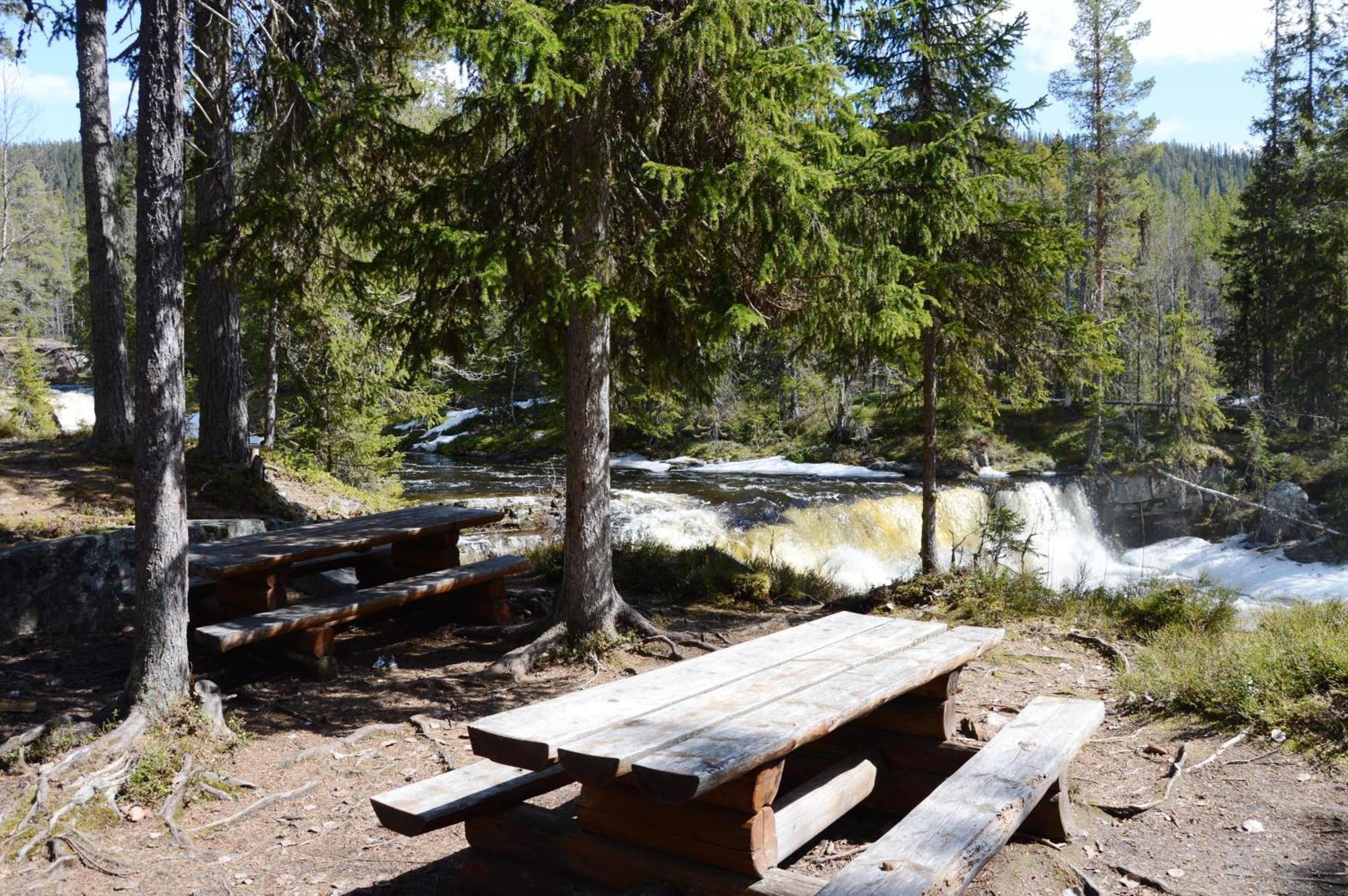 16 - Fulufjellets Nasjonalparker - Natur-, Dyre- Og Fugleopplevelser Ljørdal Buitenkant foto