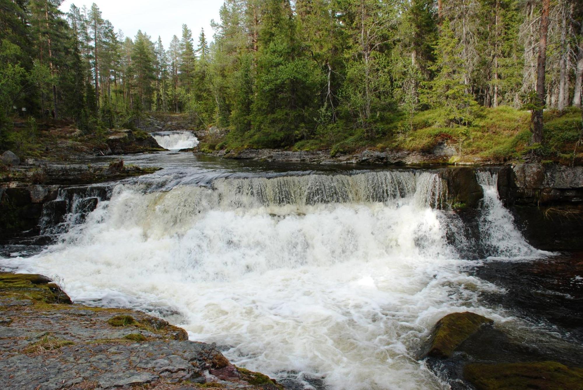 16 - Fulufjellets Nasjonalparker - Natur-, Dyre- Og Fugleopplevelser Ljørdal Buitenkant foto